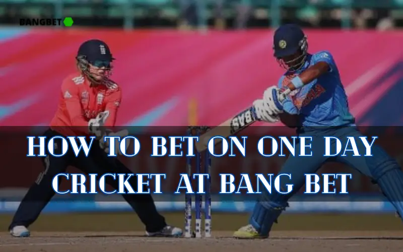 one day cricket