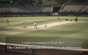 Cricket Ground