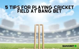 cricket field