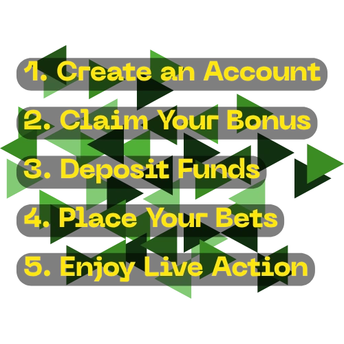 bang bet how to get started with bang bet sports book