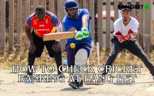 cricket ranking