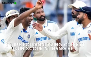 cricket run score