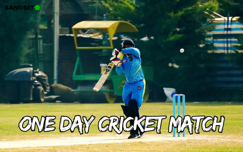 one day cricket match