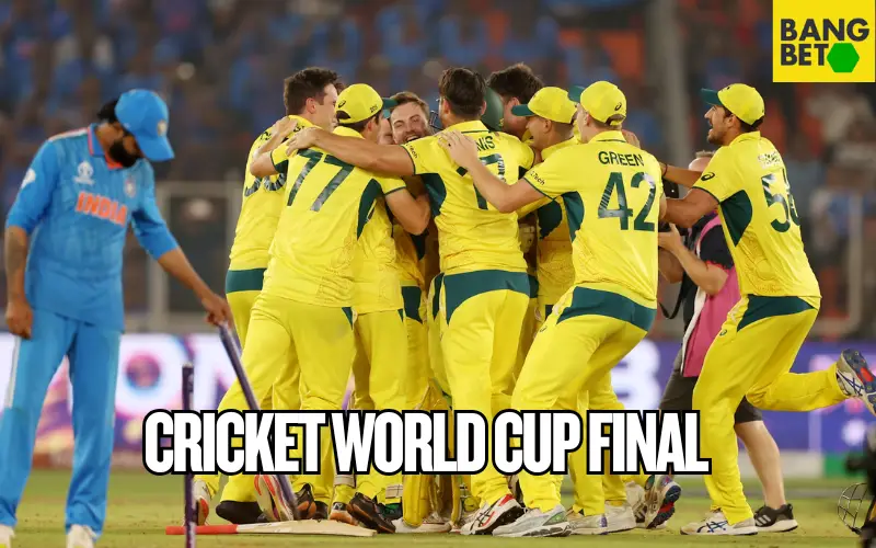 cricket world cup final