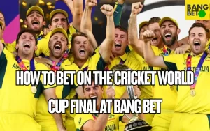 cricket world cup final