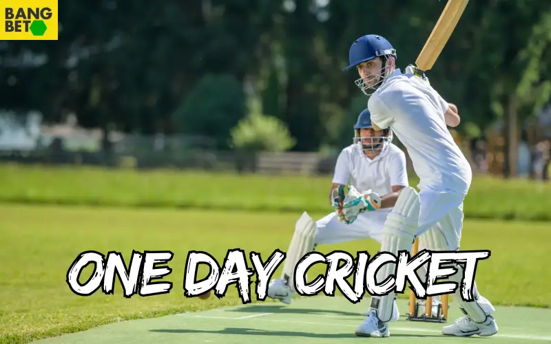 one day cricket
