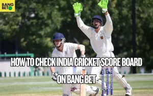 india cricket score board