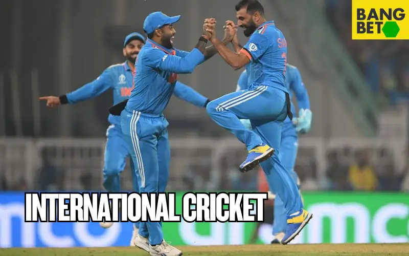 international cricket